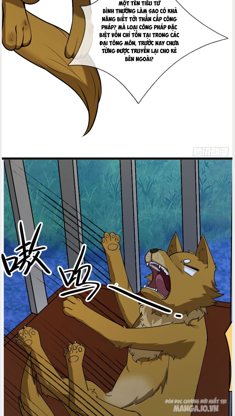 Thu Triệu Vạn Đồ Đệ, Vi Sư Vô Địch Thế Gian Chapter 3 - Trang 2