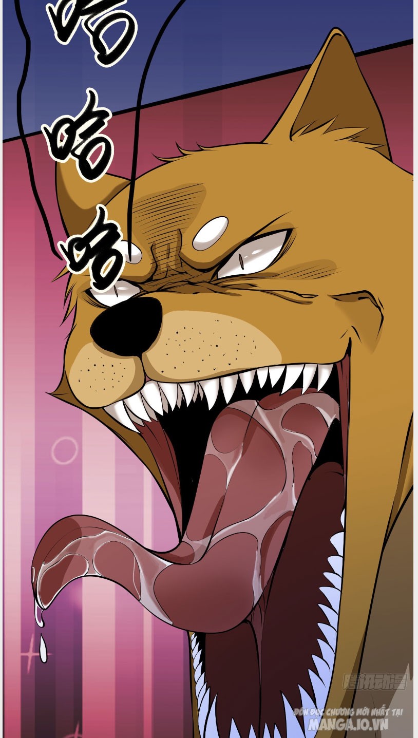 Thu Triệu Vạn Đồ Đệ, Vi Sư Vô Địch Thế Gian Chapter 3 - Trang 2