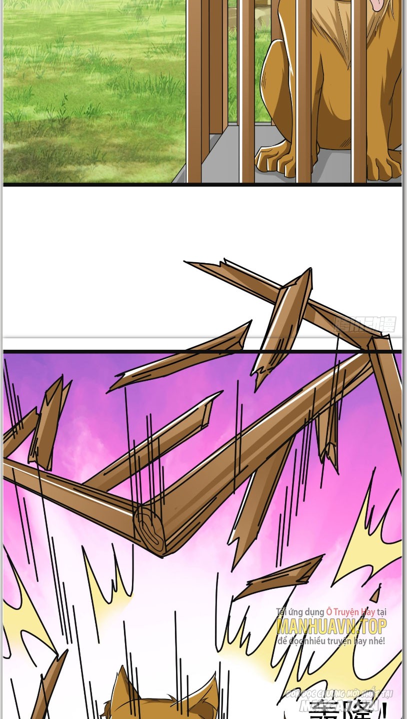 Thu Triệu Vạn Đồ Đệ, Vi Sư Vô Địch Thế Gian Chapter 5 - Trang 2