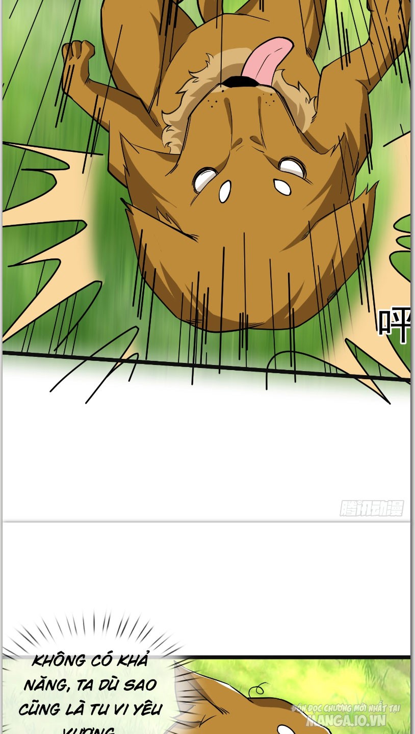 Thu Triệu Vạn Đồ Đệ, Vi Sư Vô Địch Thế Gian Chapter 5 - Trang 2