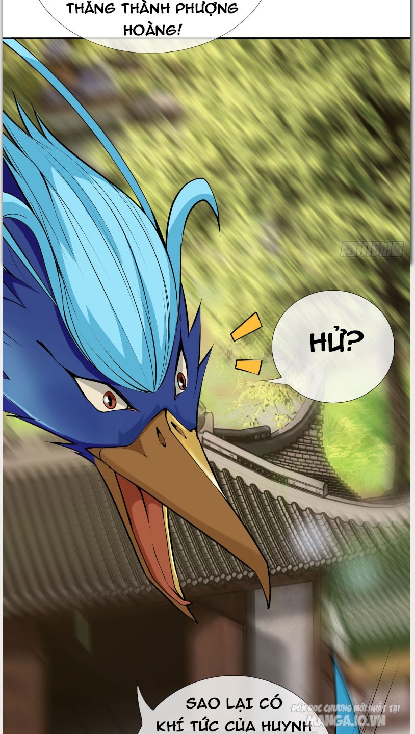 Thu Triệu Vạn Đồ Đệ, Vi Sư Vô Địch Thế Gian Chapter 5 - Trang 2