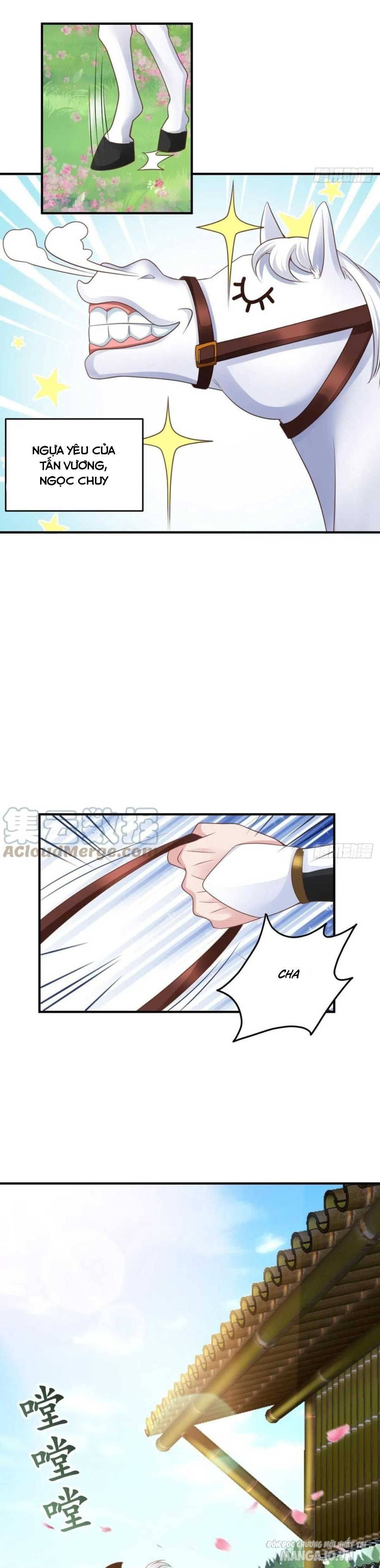 Thuần Hóa Ba Ba Bạo Quân Chapter 30 - Trang 2