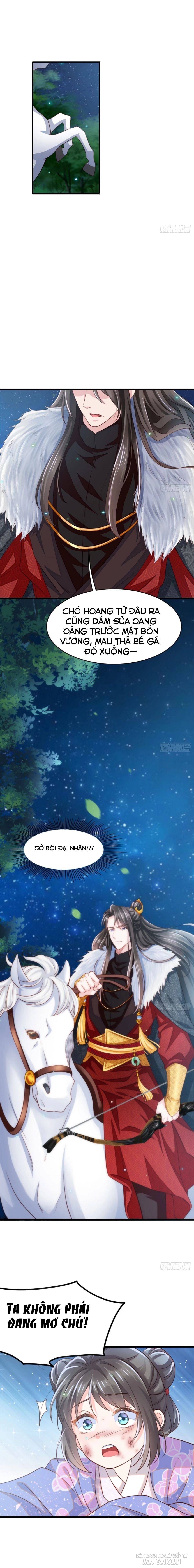 Thuần Hóa Ba Ba Bạo Quân Chapter 6 - Trang 2