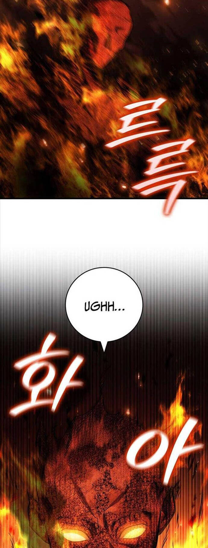 Thực Long Ma Pháp Sư Chapter 56 - Trang 2