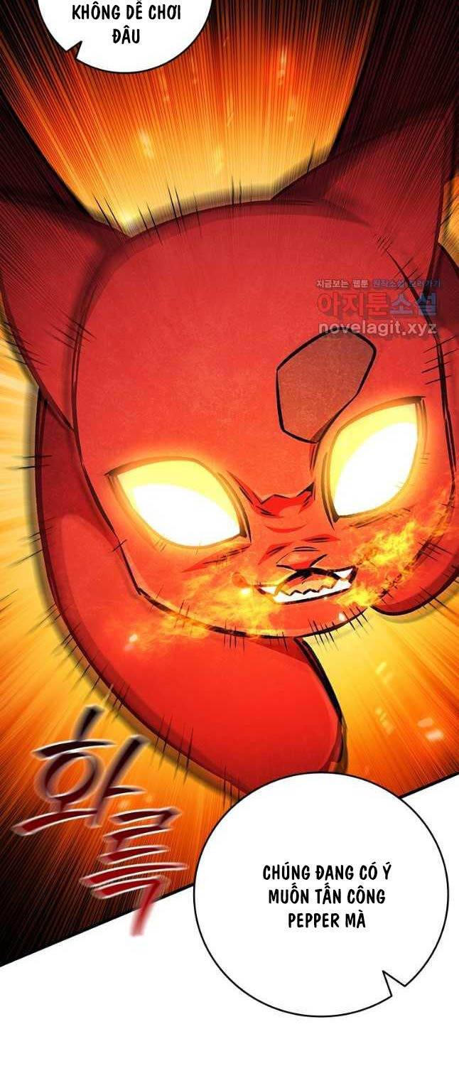 Thực Long Ma Pháp Sư Chapter 61 - Trang 2