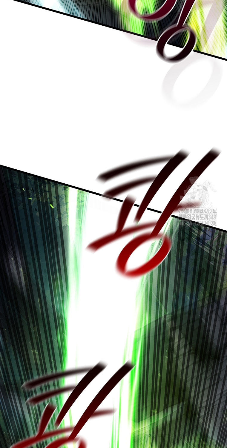 Thực Long Ma Pháp Sư Chapter 69 - Trang 2