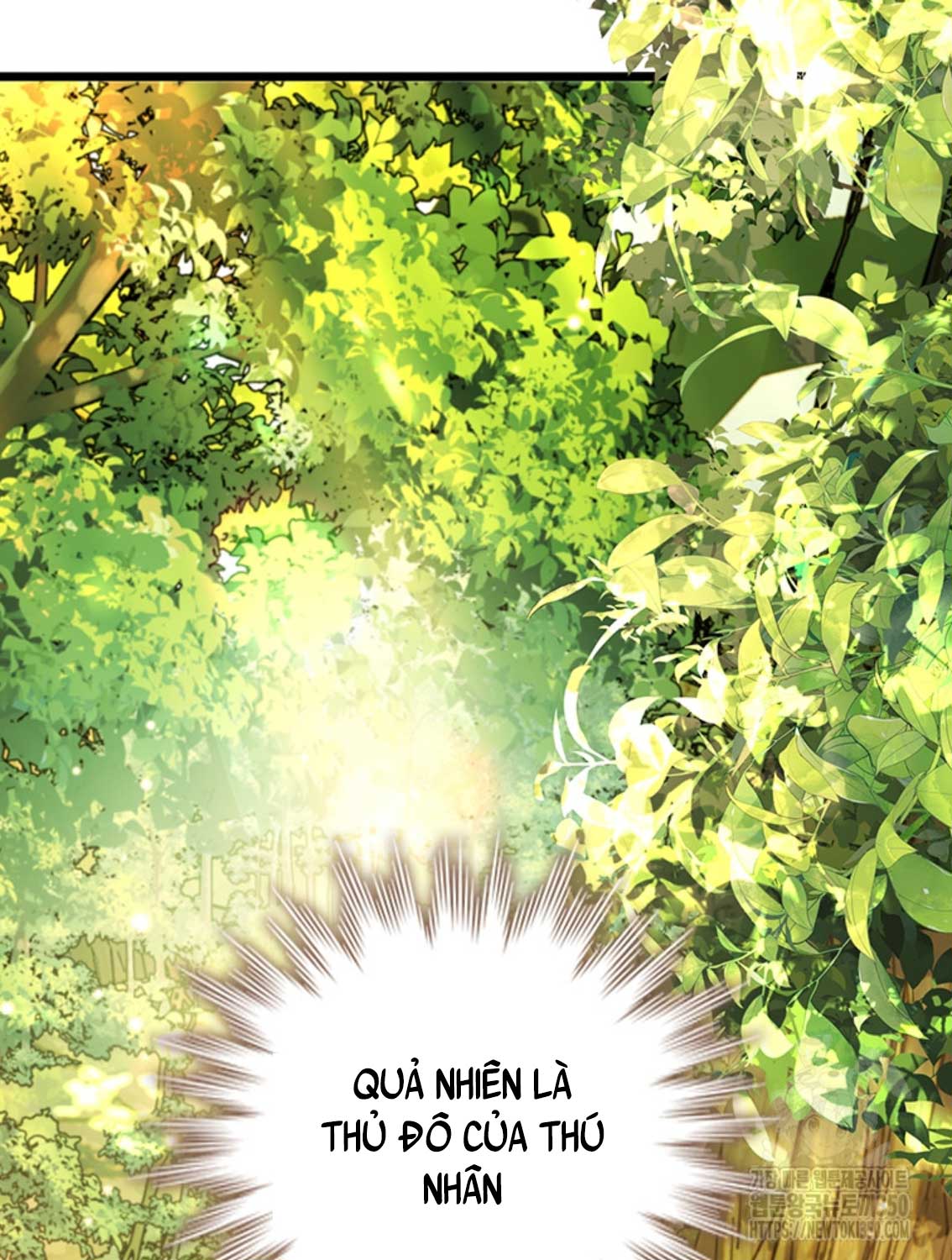 Thực Long Ma Pháp Sư Chapter 70 - Trang 2