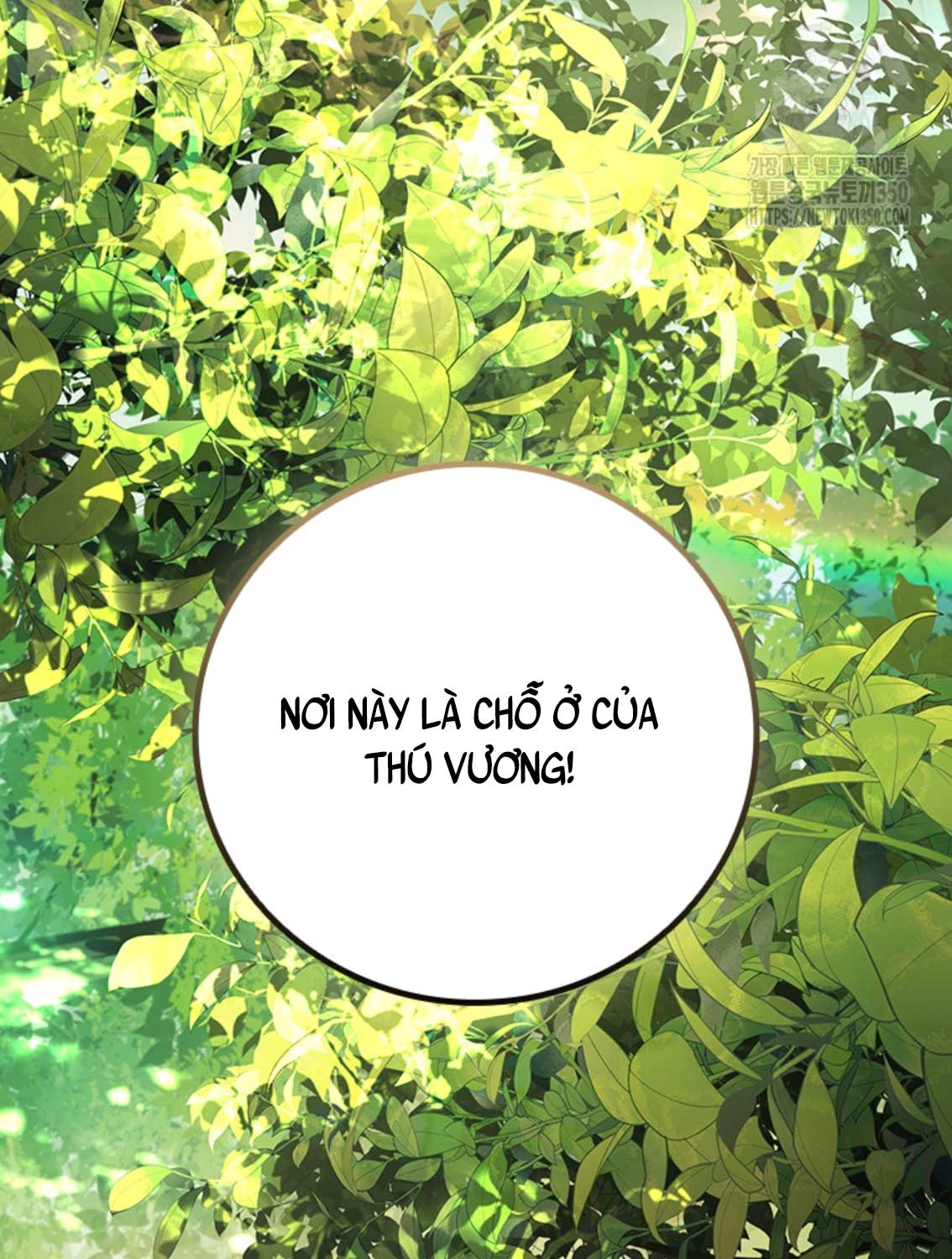 Thực Long Ma Pháp Sư Chapter 70 - Trang 2