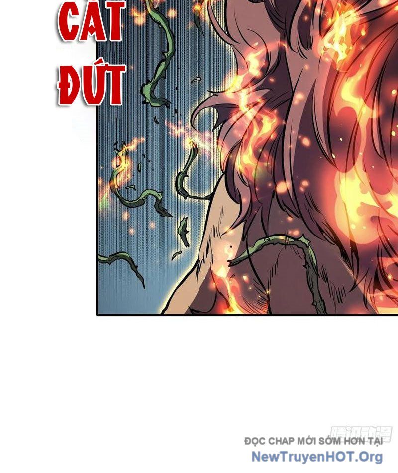 Thức Tỉnh Toàn Chức Chapter 21 - Trang 2