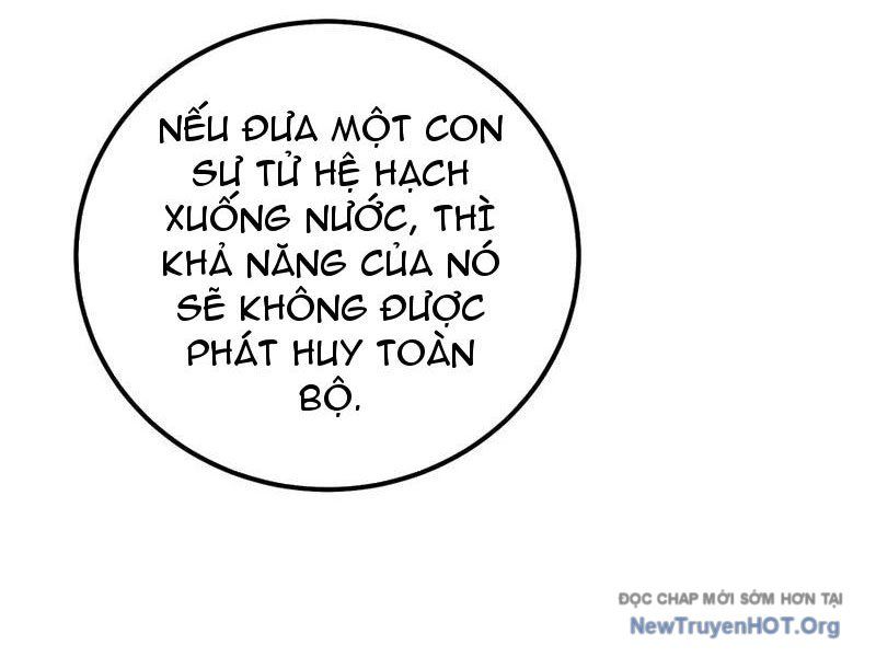 Thức Tỉnh Toàn Chức Chapter 23 - Trang 2