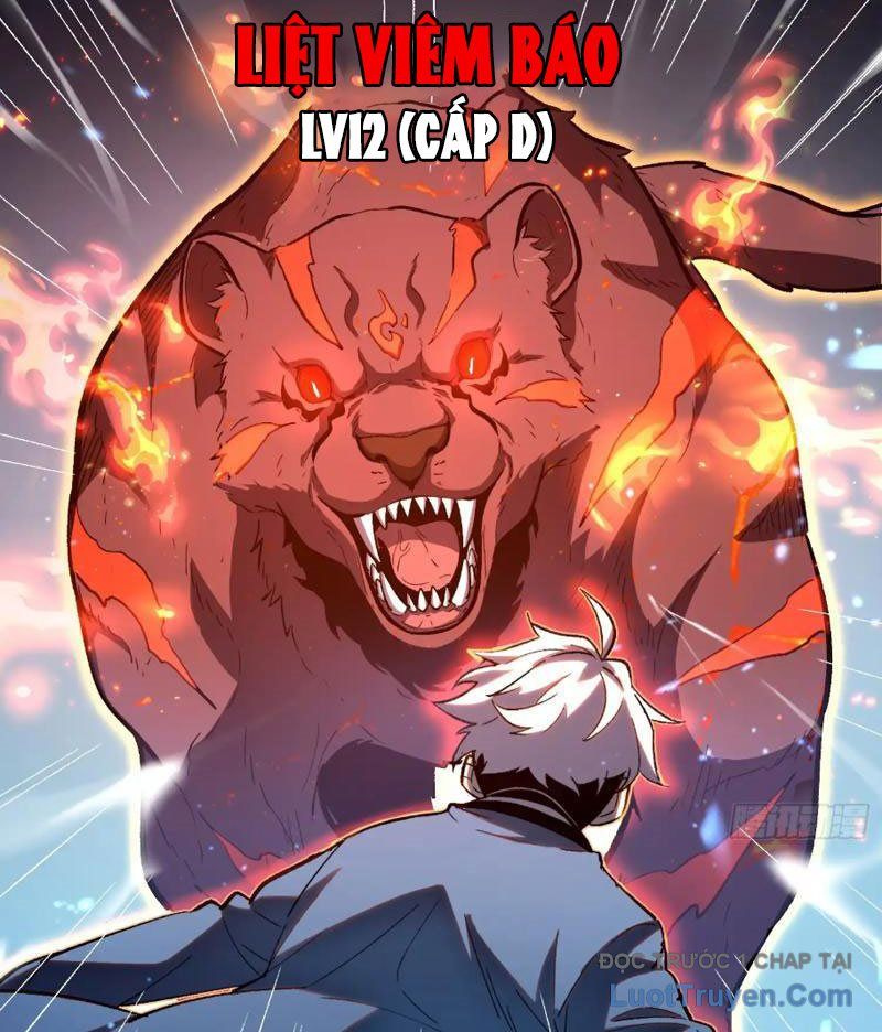 Thức Tỉnh Toàn Chức Chapter 24 - Trang 2