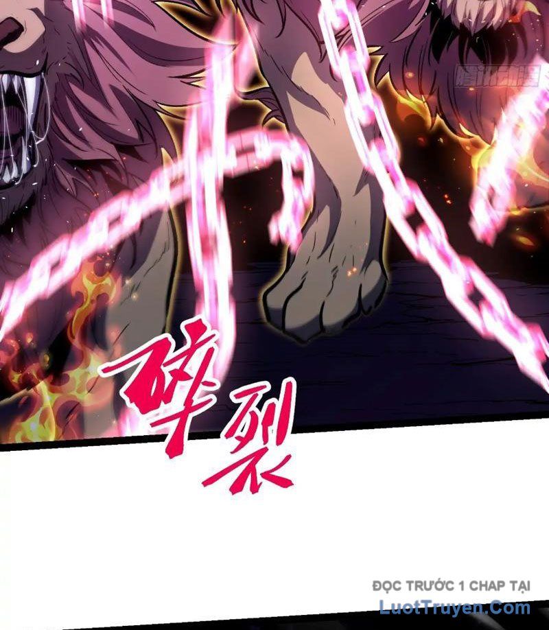 Thức Tỉnh Toàn Chức Chapter 24 - Trang 2