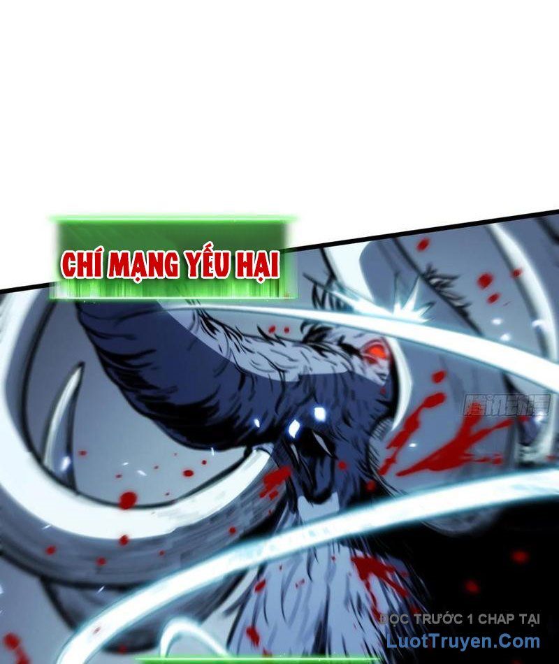 Thức Tỉnh Toàn Chức Chapter 25 - Trang 2
