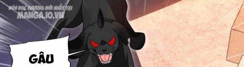 Tích Trữ 10 Vạn Vật Tư Trước Ngày Tận Thế Chapter 128 - Trang 2