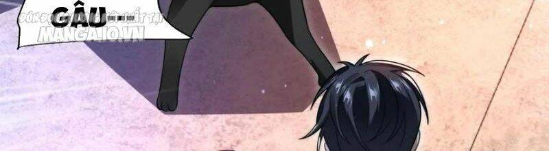 Tích Trữ 10 Vạn Vật Tư Trước Ngày Tận Thế Chapter 128 - Trang 2