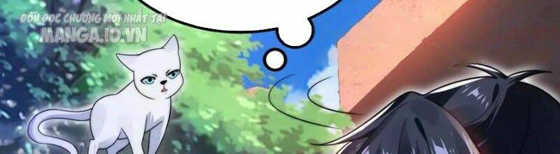 Tích Trữ 10 Vạn Vật Tư Trước Ngày Tận Thế Chapter 128 - Trang 2