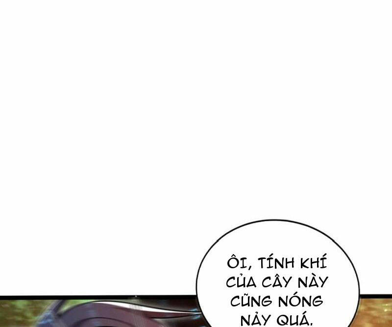 Tích Trữ 10 Vạn Vật Tư Trước Ngày Tận Thế Chapter 145 - Trang 2