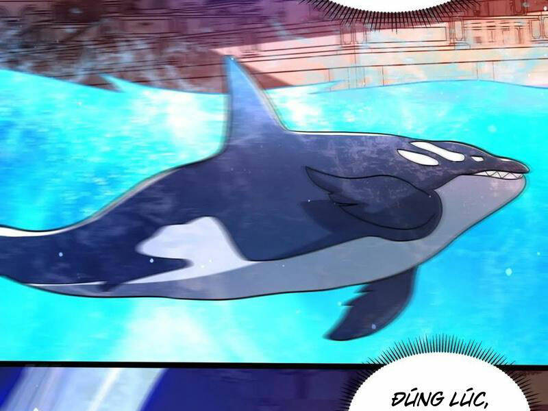 Tích Trữ 10 Vạn Vật Tư Trước Ngày Tận Thế Chapter 155 - Trang 2