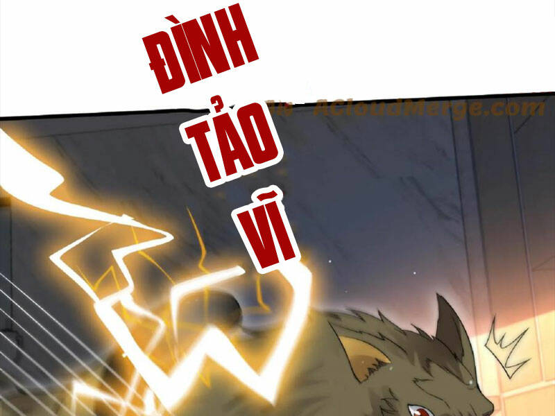 Tích Trữ 10 Vạn Vật Tư Trước Ngày Tận Thế Chapter 51 - Trang 2