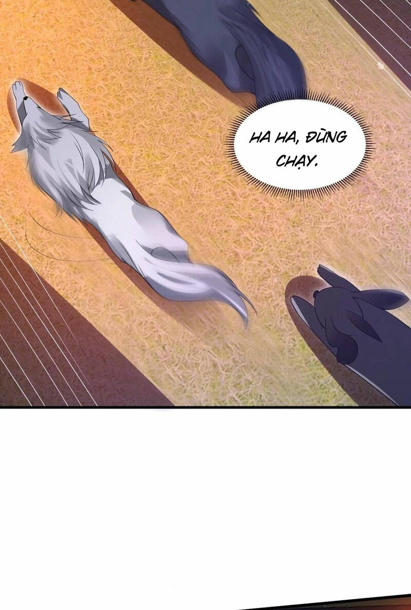 Tích Trữ 10 Vạn Vật Tư Trước Ngày Tận Thế Chapter 94 - Trang 2