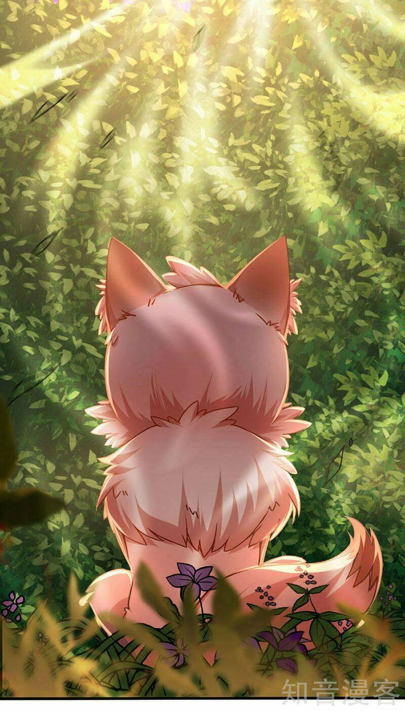 Tiên Đế Qui Lai Chapter 35 - Trang 2