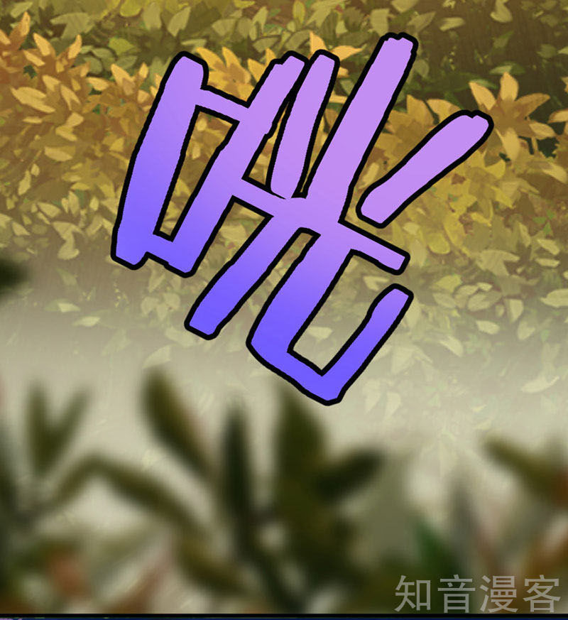 Tiên Đế Trở Về Chapter 33 - Trang 2