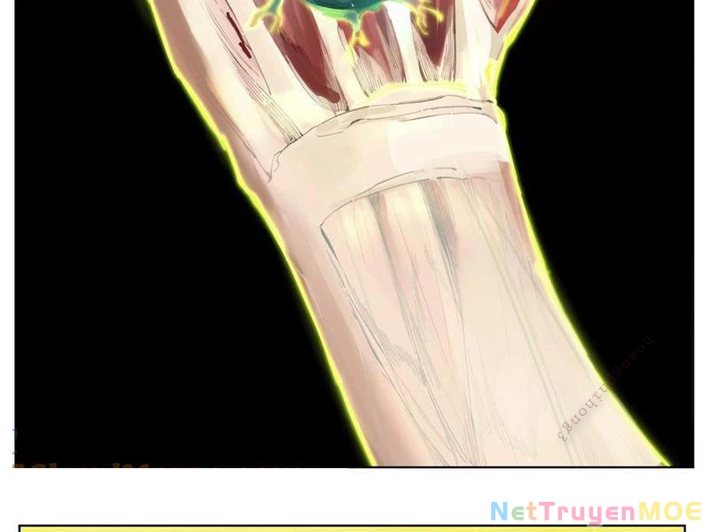 Tiên Hàng Đầu Chapter 12 - Trang 2