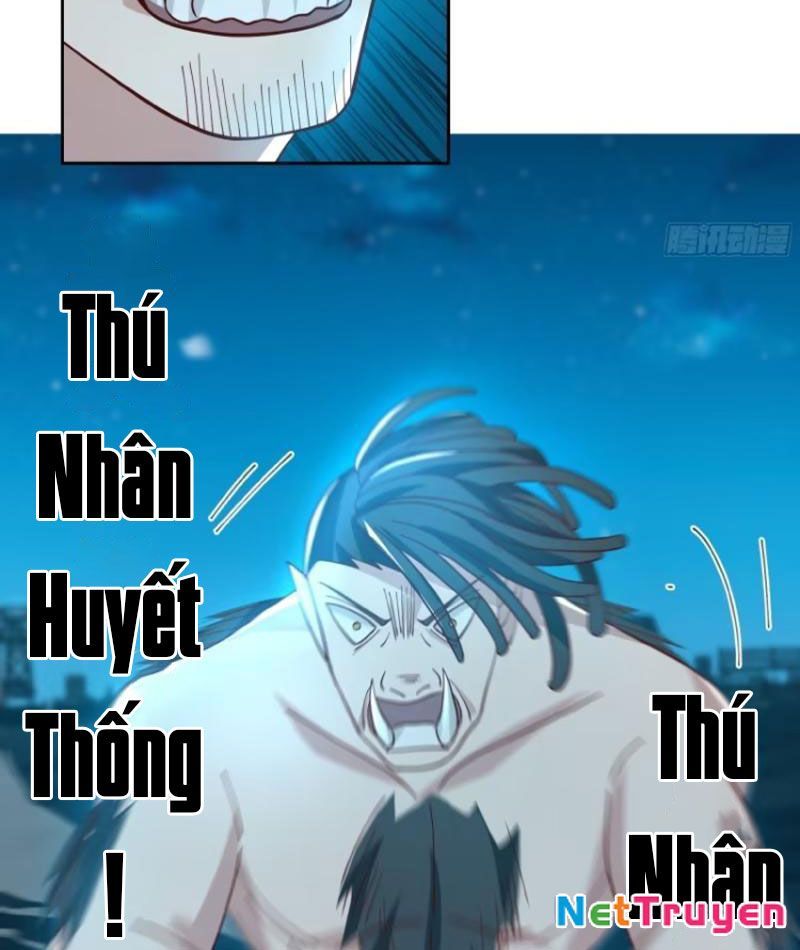 Tiến Hóa Ban Đầu Chapter 4 - Trang 2