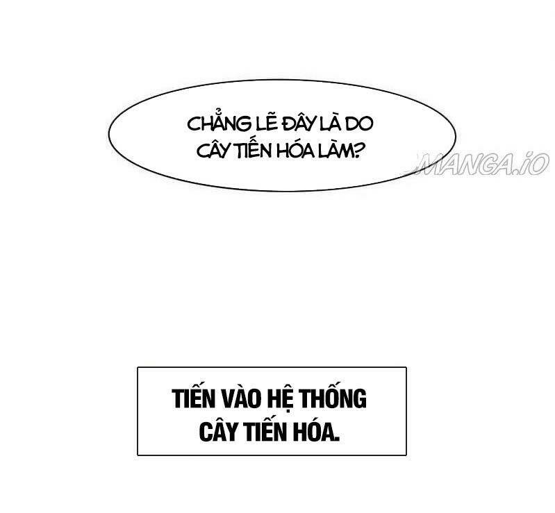 Tiến Hóa Cuồng Triều Chapter 19 - Trang 2
