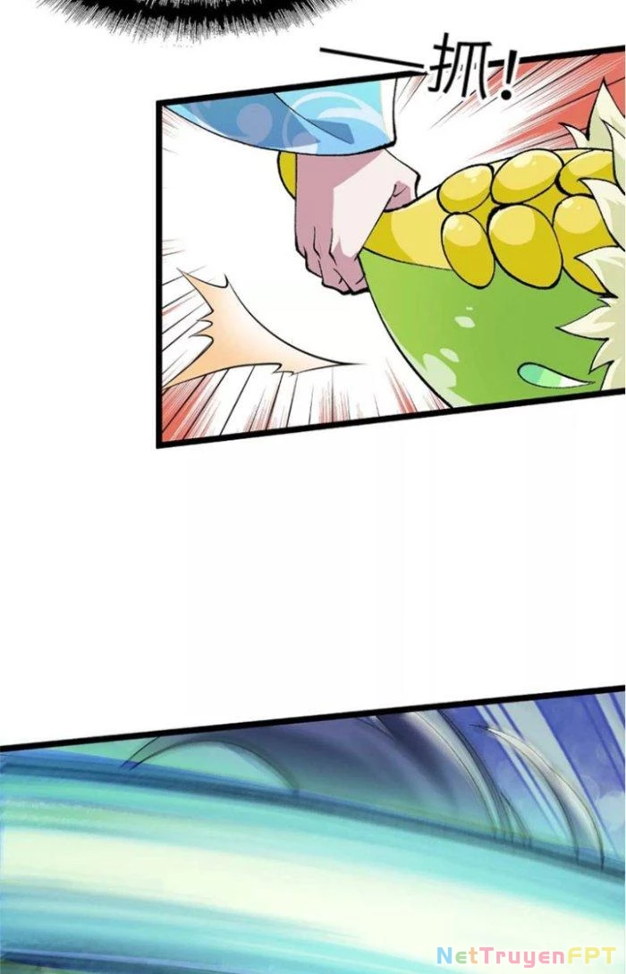 Tiến Hóa Đi, Caterpie Chapter 14 - Trang 2