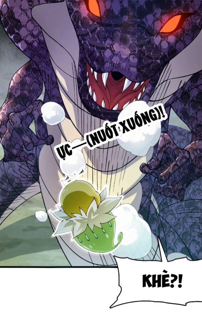 Tiến Hóa Đi, Caterpie Chapter 33 - Trang 2