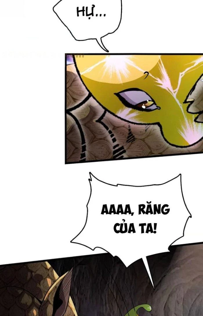 Tiến Hóa Đi, Caterpie Chapter 34 - Trang 2