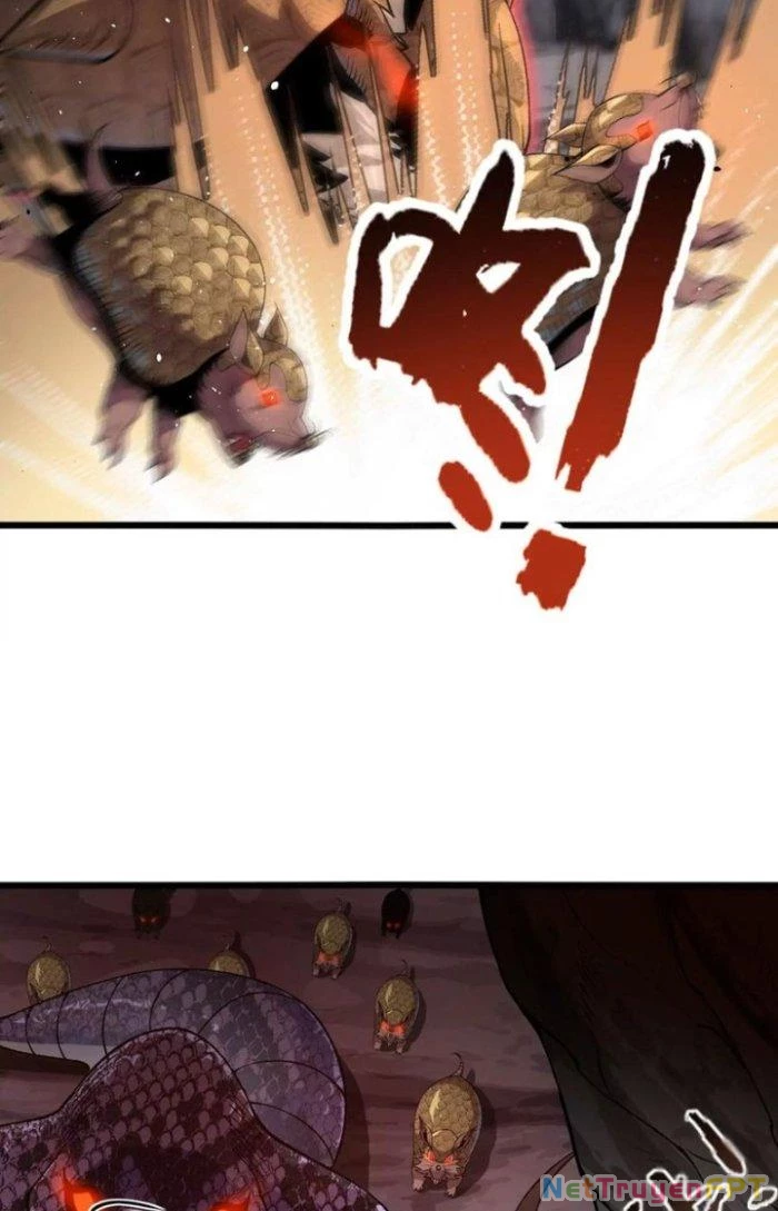 Tiến Hóa Đi, Caterpie Chapter 34 - Trang 2