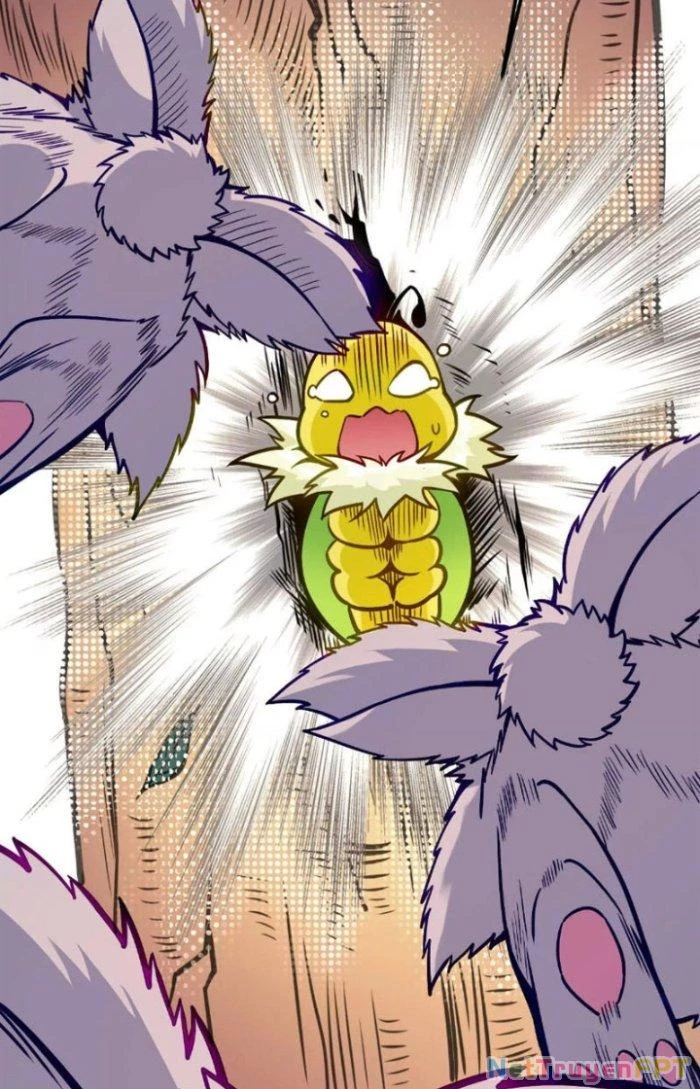 Tiến Hóa Đi, Caterpie Chapter 4 - Trang 2