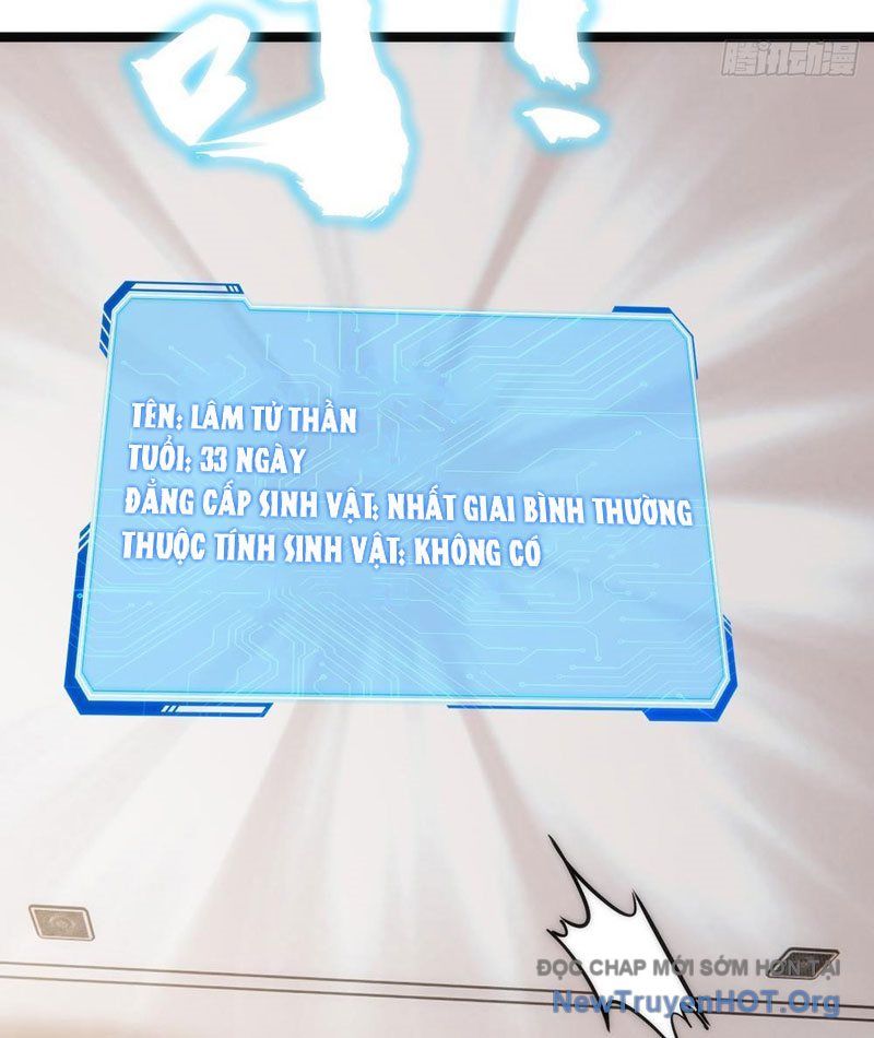 Tiến Hóa Vô Hạn Bắt Đầu Từ Con Số Không Chapter 1 - Trang 2