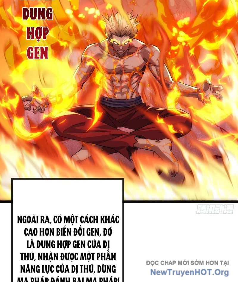 Tiến Hóa Vô Hạn Bắt Đầu Từ Con Số Không Chapter 1 - Trang 2