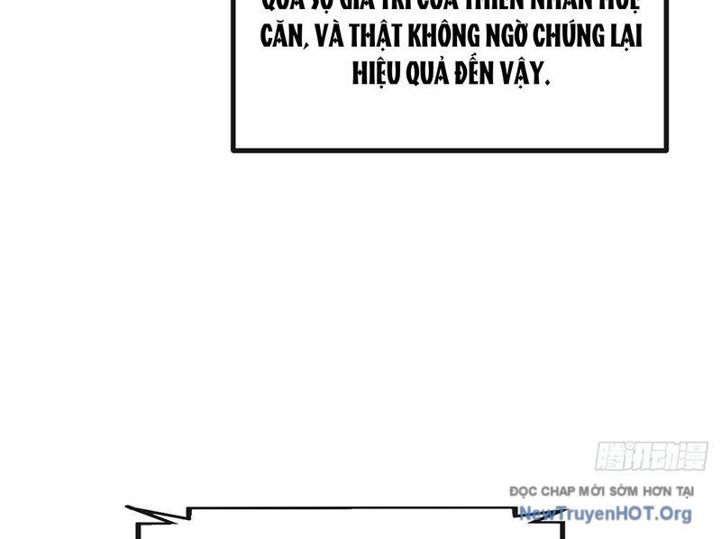 Tiến Hóa Vô Hạn Bắt Đầu Từ Con Số Không Chapter 2 - Trang 2