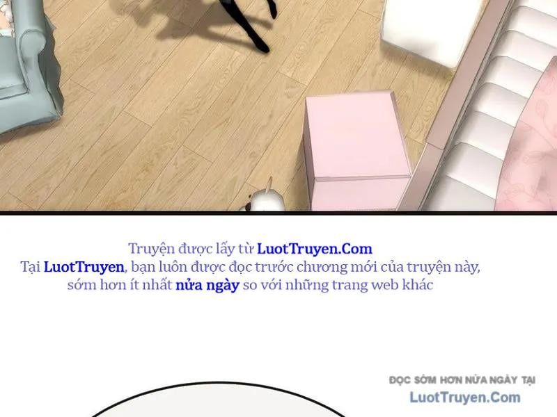 Tiến Hóa Vô Hạn Bắt Đầu Từ Con Số Không Chapter 24 - Trang 2