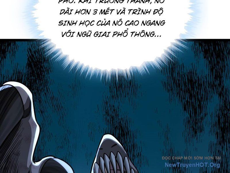 Tiến Hóa Vô Hạn Bắt Đầu Từ Con Số Không Chapter 4 - Trang 2