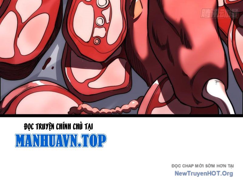 Tiến Hóa Vô Hạn Bắt Đầu Từ Con Số Không Chapter 5 - Trang 2