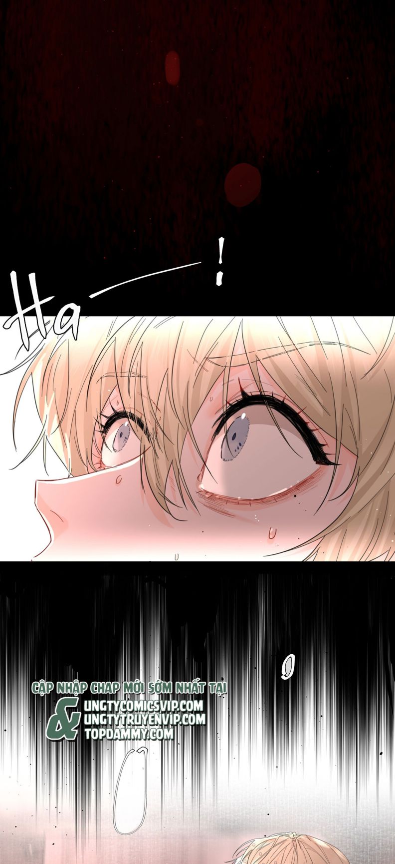 Tiền Nhiệm Vi Vương Chapter 17 - Trang 2