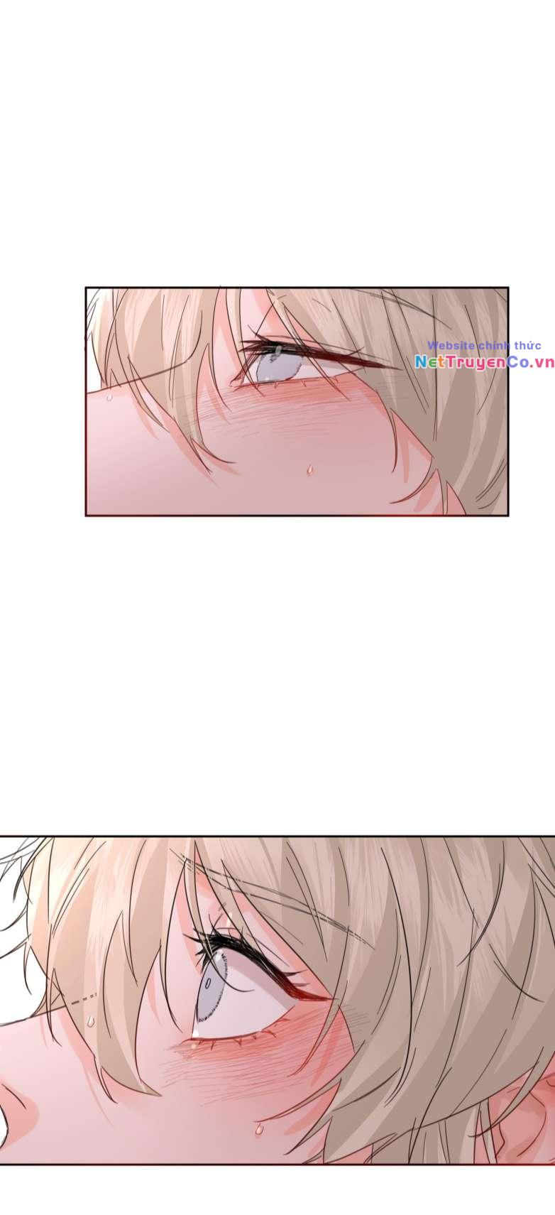 Tiền Nhiệm Vi Vương Chapter 30 - Trang 2