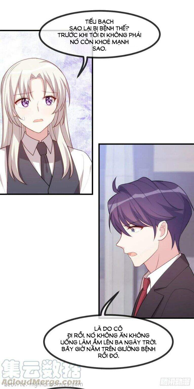 Tiểu Bạch Nam Thần Daddy Chapter 102 - Trang 2