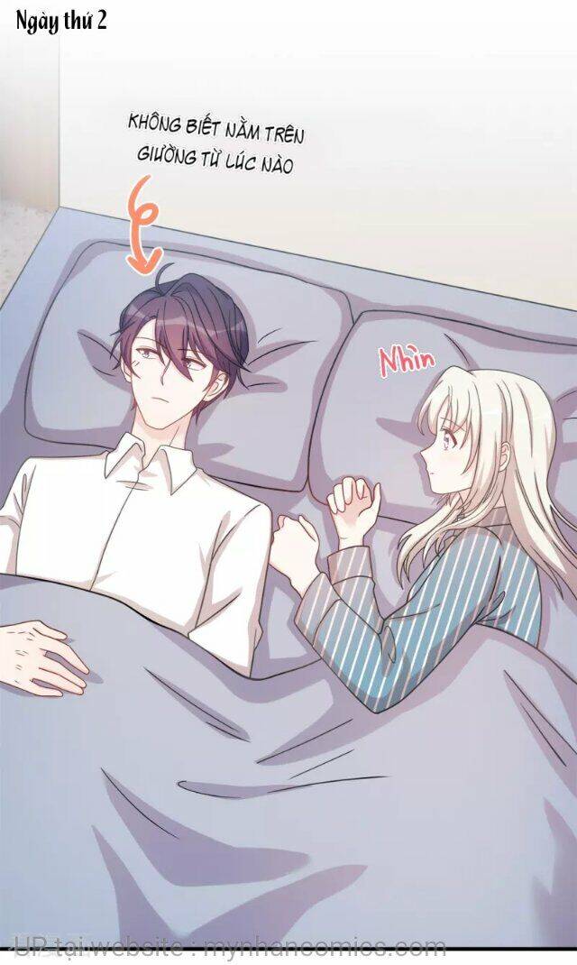 Tiểu Bạch Nam Thần Daddy Chapter 148 - Trang 2