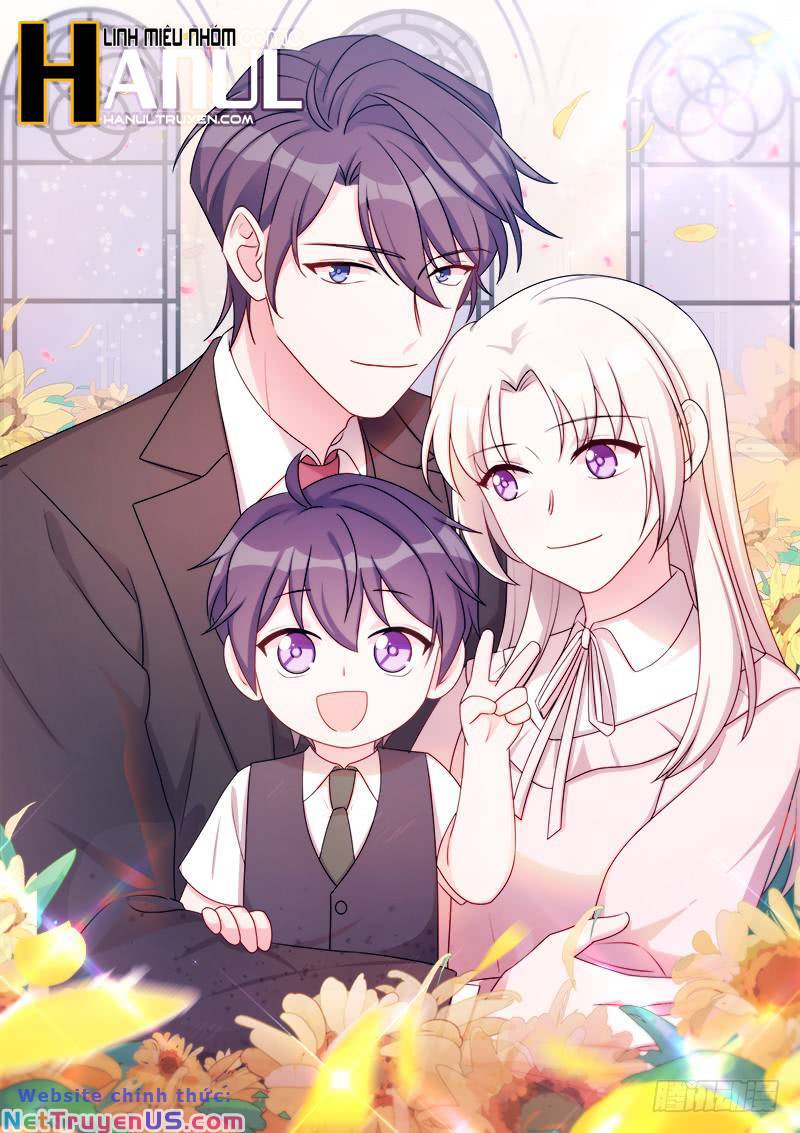 Tiểu Bạch Nam Thần Daddy Chapter 166 - Trang 2