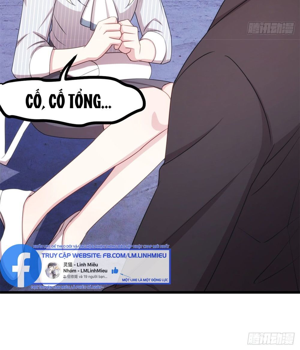 Tiểu Bạch Nam Thần Daddy Chapter 19 - Trang 2