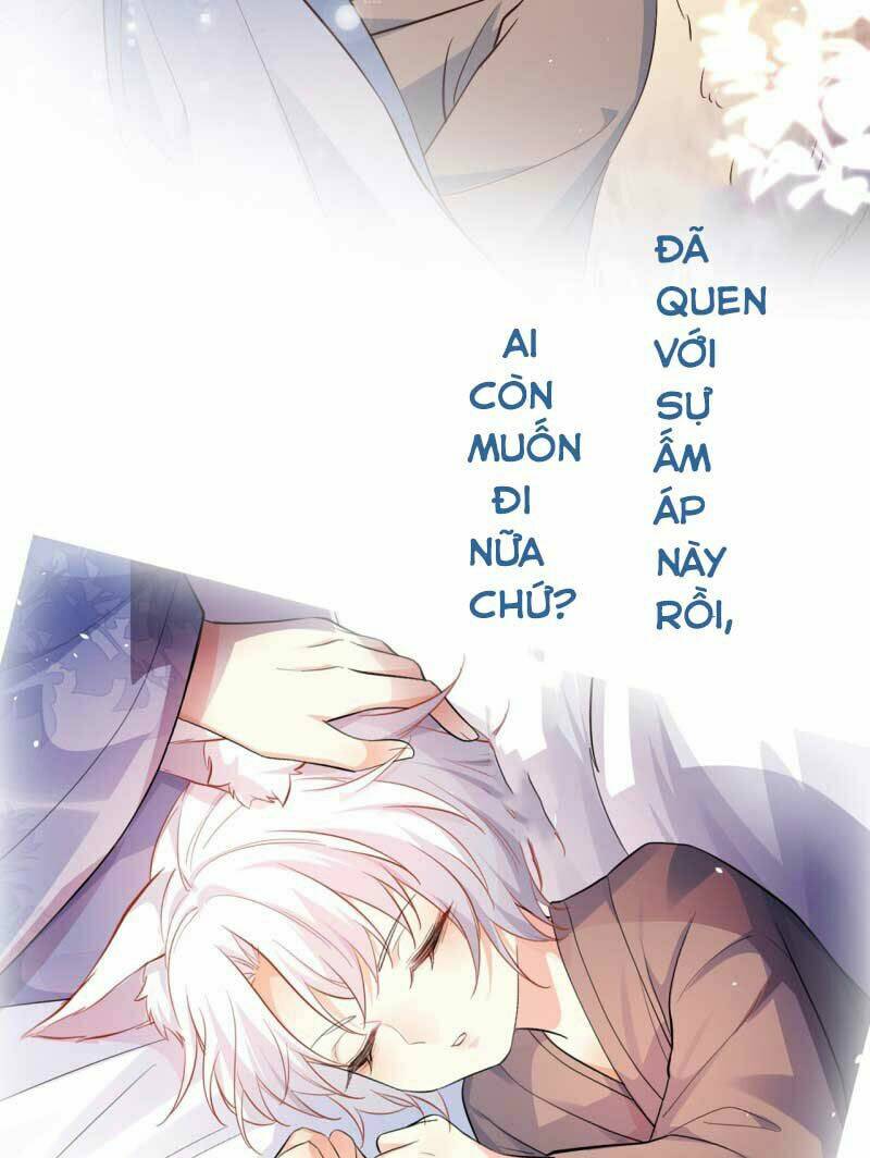 Tiểu Hồ Ly Hôm Nay Có Chút Ngoan Chapter 0 - Trang 2