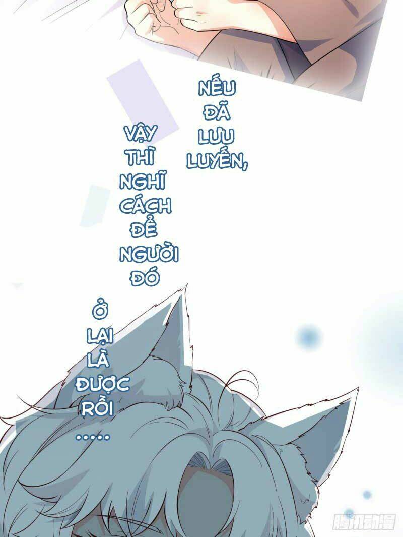 Tiểu Hồ Ly Hôm Nay Có Chút Ngoan Chapter 0 - Trang 2