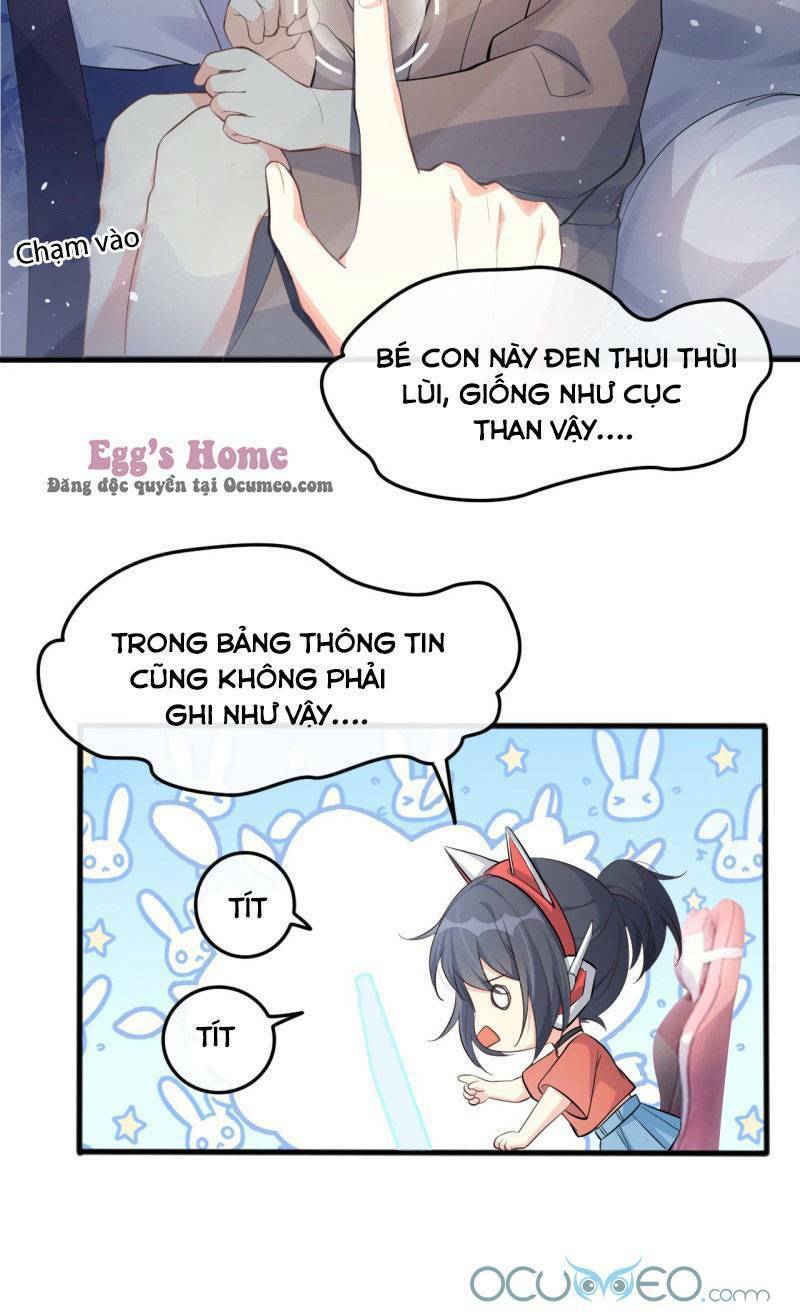 Tiểu Hồ Ly Hôm Nay Có Chút Ngoan Chapter 1 - Trang 2