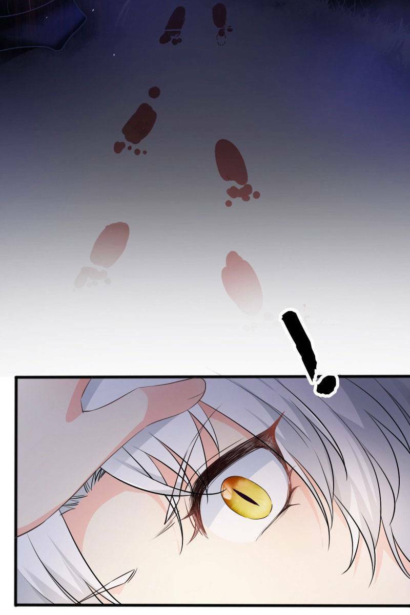 Tiểu Hồ Ly Hôm Nay Có Chút Ngoan Chapter 1 - Trang 2